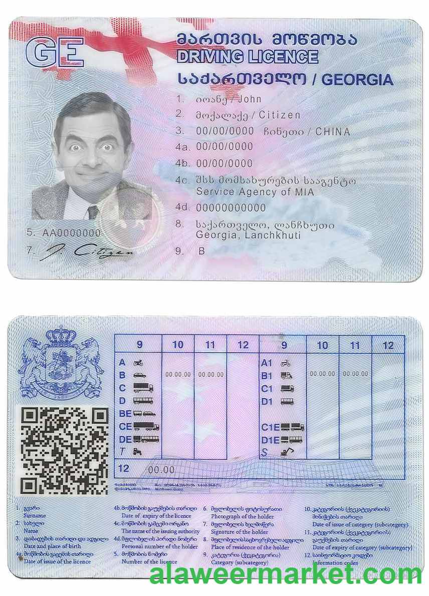 Georgia driving license